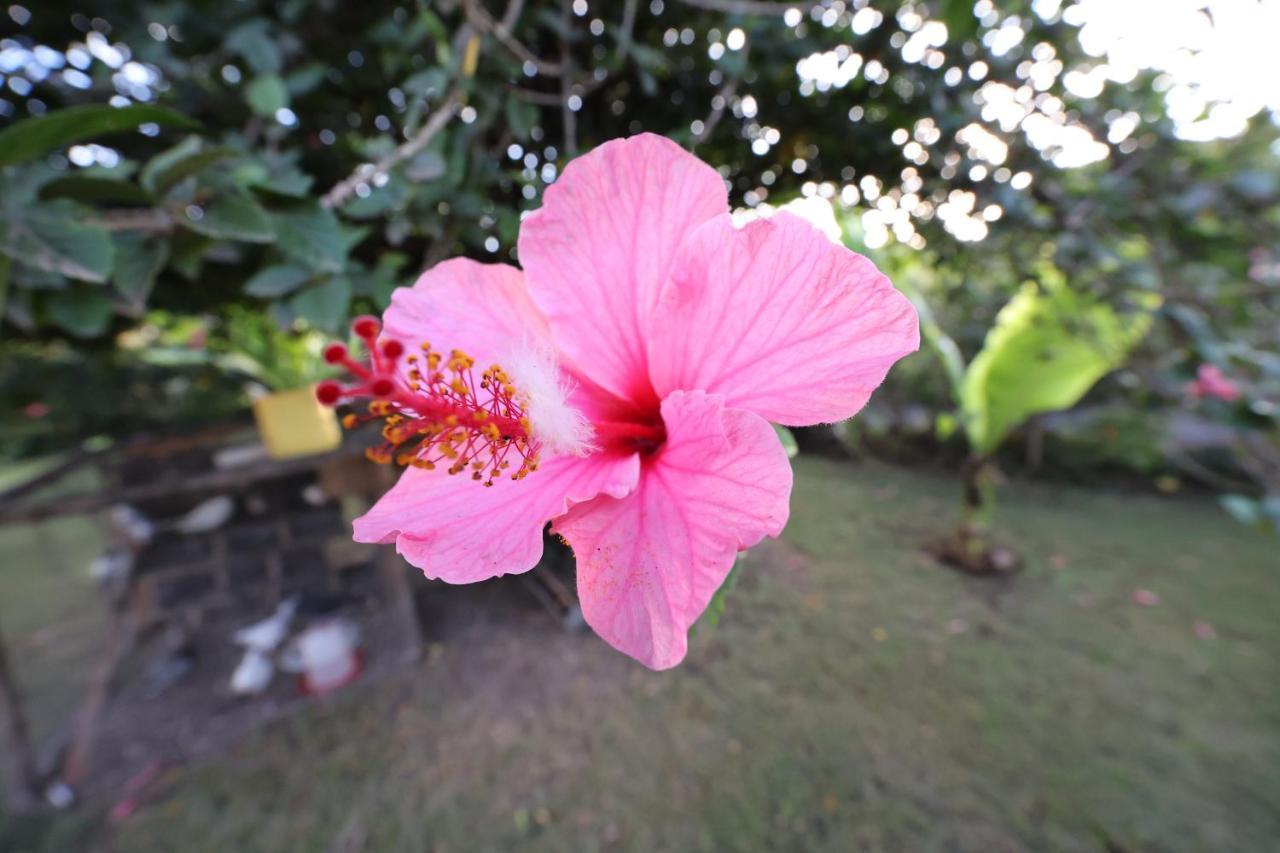 ناكورو Homebase Gardens المظهر الخارجي الصورة